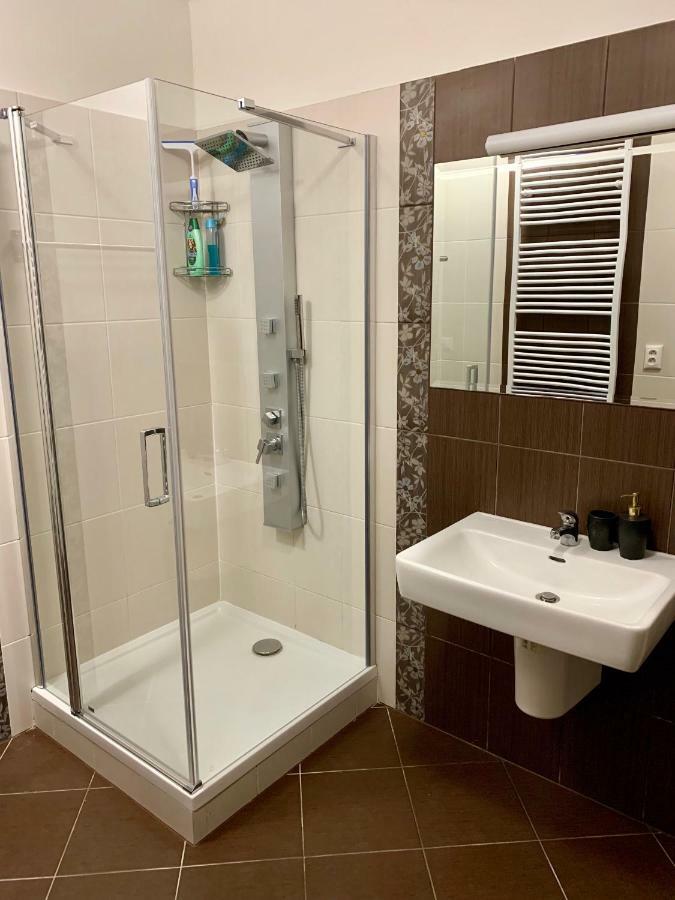 Bl Luxury Apartment, 24hr Self Check-in, Free Private Garage Parking, Panoramic Views From Balcony, 5 Minute Walk To Center